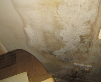 Housing Ombudsman highlights over 100 damp and mould cases